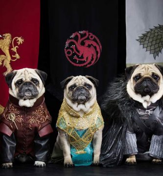 juego de tronos reinos perros pug