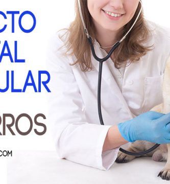 Defecto Septal Auricular en Perros