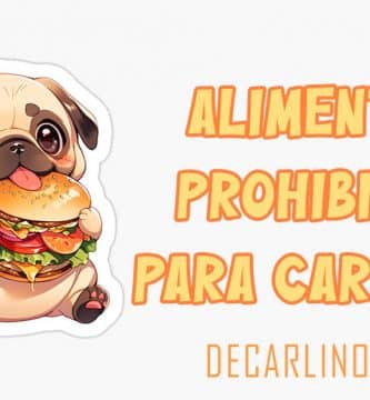 alimentos prohibidos en carlinos pugs
