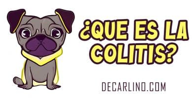 que es la colitis