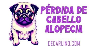 PERDIDA DE PELO ALOPECIA