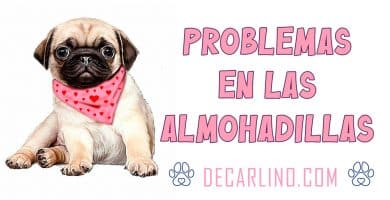 problemas en las patas de los perros