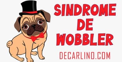 sindrome de wobbler en carlinos