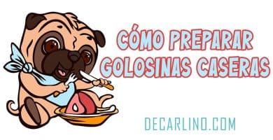 Cómo Preparar Golosinas Caseras saludables